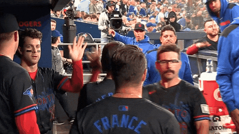 Blue Jays Baseball GIF by Toronto Blue Jays
