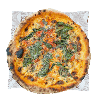 Pizza Boston Sticker by Major Food Group