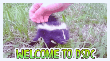 AlexDSDC skunk dsdc alexdsdc drunk skunks drinking club GIF