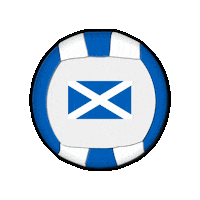 Ball Europe Sticker by Swiss Dodgeball