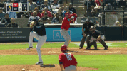Talkin Yanks GIF by Jomboy Media