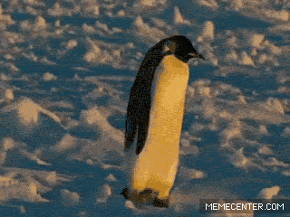 winter GIF