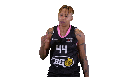 Basketball Hoops Sticker by Basket_fi