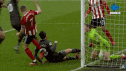 Goalkeeper Save GIF by MolaTV