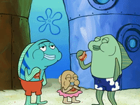 season 8 GIF by SpongeBob SquarePants