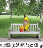 Cute Cat GIF