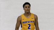 Basketball GIF by Hofstra Pride