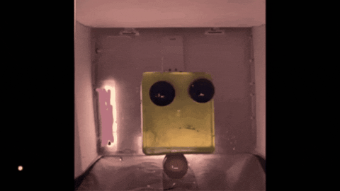 RoxySavage giphygifmaker GIF