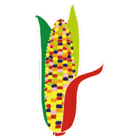 Corn Sticker by Penguin Books UK