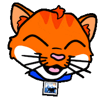 Cat Adopt Sticker by DallasAnimalServices