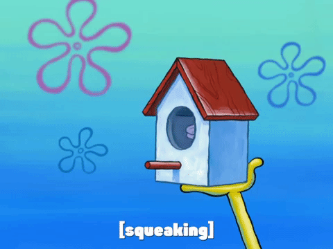 season 8 episode 6 GIF by SpongeBob SquarePants