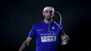 ProfessionalSquashAssociation red bull psa squash the beast GIF