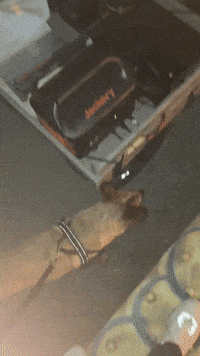 Street Art GIF by Alex Boya