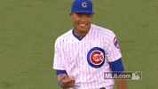 chicago cubs GIF by MLB