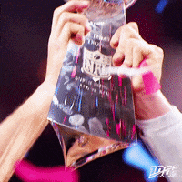 National Football League GIF by NFL