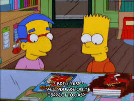homer simpson omg GIF