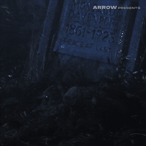 Linnea Quigley Horror GIF by Arrow Video