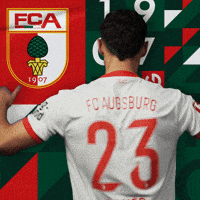 Bundesliga Bauer GIF by FC Augsburg 1907