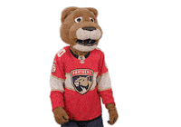 Ice Hockey Sticker by NHL