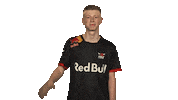 Rb Leipzig Hello Sticker by Bundesliga