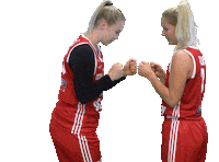Basket_fi sport basketball hoops koripallo Sticker