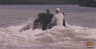 swamp people history GIF