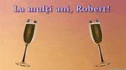 Celebration Cheers GIF by echilibrultau