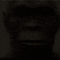 Monkey Wtf GIF