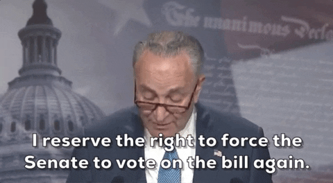 Chuck Schumer January 6Th GIF by GIPHY News