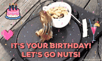 Happy Birthday GIF by chuber channel