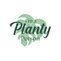 implantyaf plant plants monstera plantlover Sticker