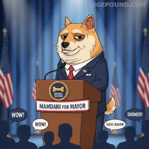 Dog Wow GIF by Doge Pound