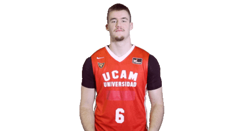 Liga Endesa Basketball Sticker by ACB