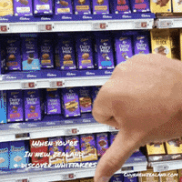 churnewzealand food travel chocolate new zealand GIF