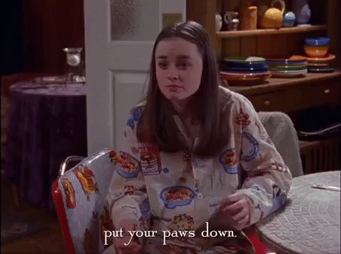 season 2 netflix GIF by Gilmore Girls 