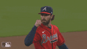 Major League Baseball Sport GIF by MLB