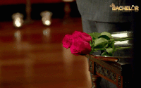 nick cummins bachelor au GIF by The Bachelor Australia