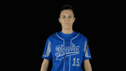 Italia Olympic GIF by FIBS - Federazione Italiana Baseball Softball