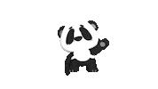 Panda Hello Sticker by Carousel