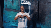 North Carolina Logo GIF by UNC Tar Heels