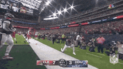 Houston Texans Football GIF by NFL