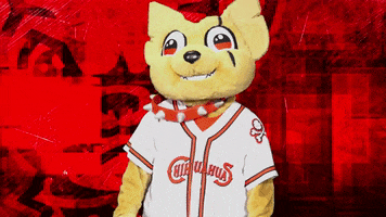 El Paso Reaction GIF by El Paso Chihuahuas