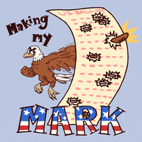 Voting Election 2016 GIF by Studios 2016