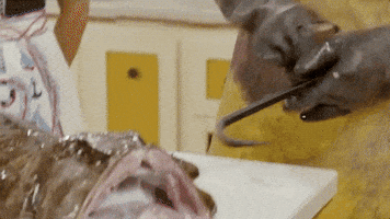 amy sedaris cooking GIF by truTV’s At Home with Amy Sedaris