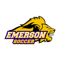 Ncaa Sports Boston Sticker by Emerson College Men's Soccer