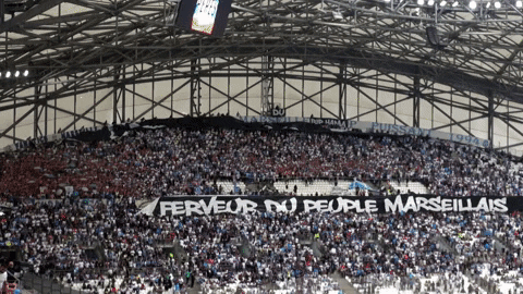 Orange Velodrome Supporters GIF by Olympique de Marseille