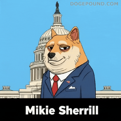 Washington Dc Yes GIF by Doge Pound