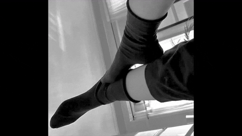 ambiguityfarm giphygifmaker socks GIF