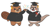 Celebration School Sticker by vanwestcollege