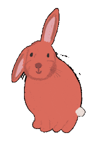 Bunny Rabbit Sticker